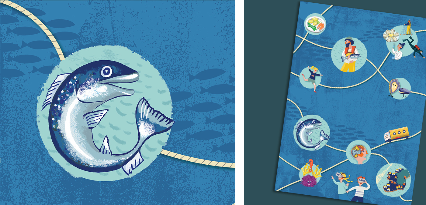 Aquaculture poster for school children