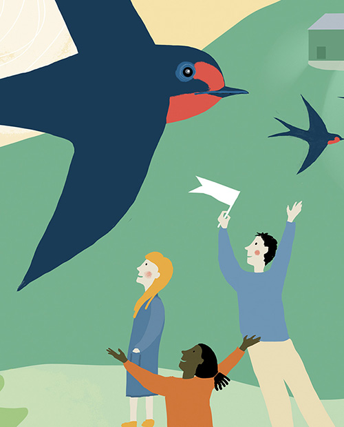 Welcomings Nolan winkens swallow illustration