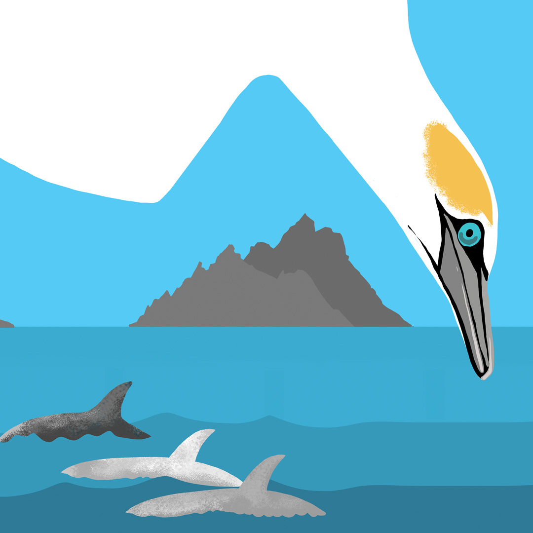 Fair-Seas-Skelligs-Poster
