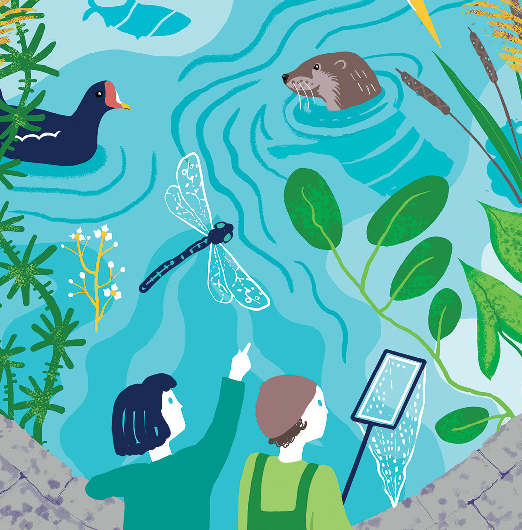 Rivers trust commemorative illustration