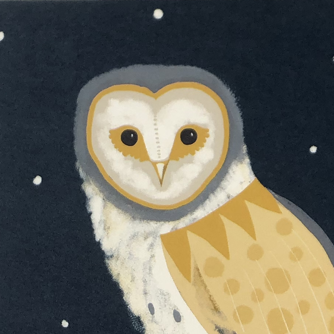 Illustrated barn owl greeting card