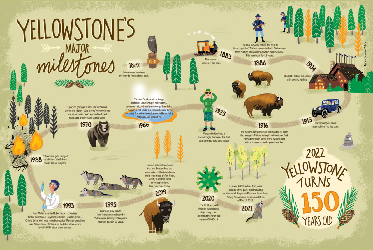 Yellowstone National Park Illustration
