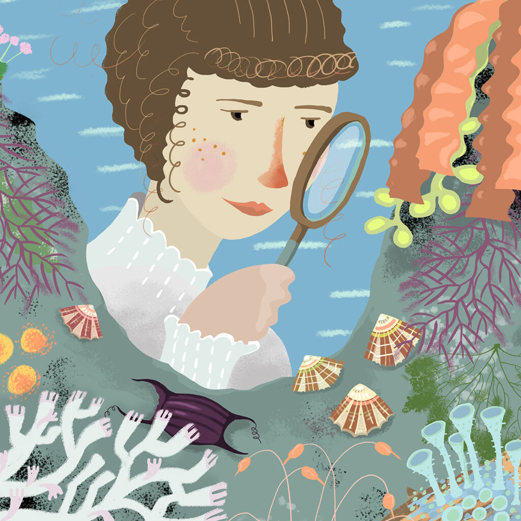 **Ellen Hutchins illustration SocialMediaSq