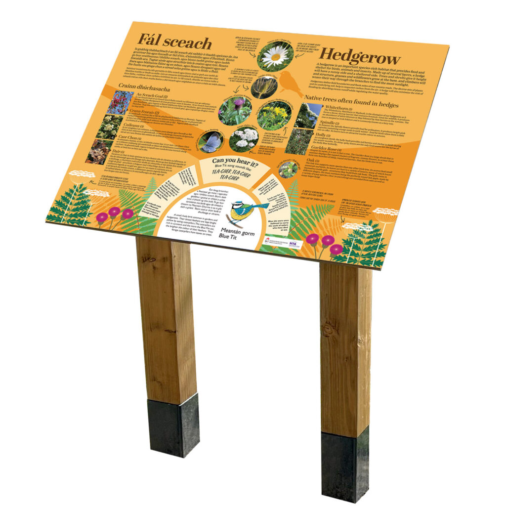 Illustrated Biodiversity Panel cutout sq