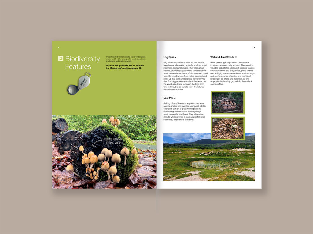 BEFOP DPS 1 KarenNolanDesign