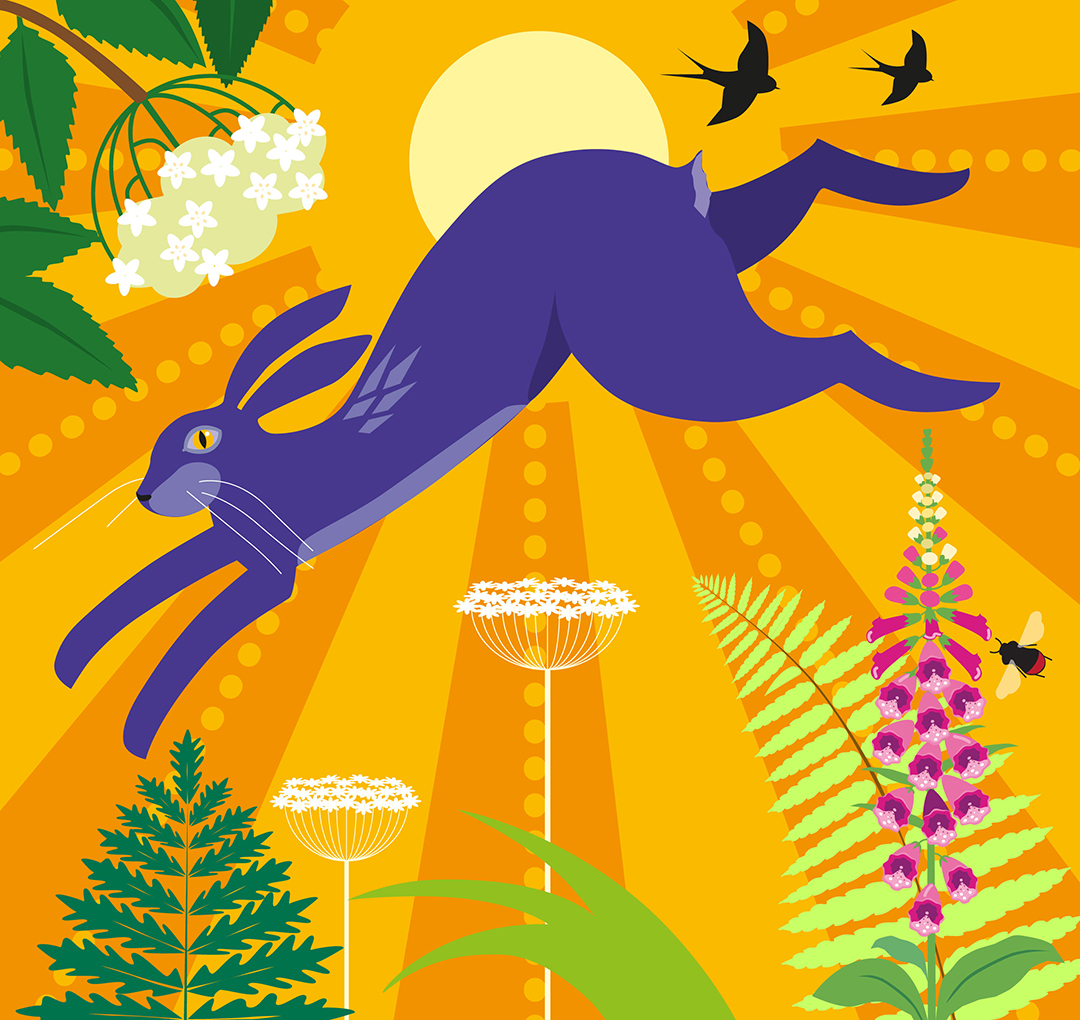 K.Nolan City of light IMBOLC Illustration