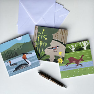 Forest Glade illustrated greeting cards